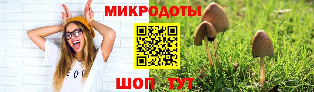 Славгород  Галлюциногенные грибы Magic Shrooms  Вход с VPN 