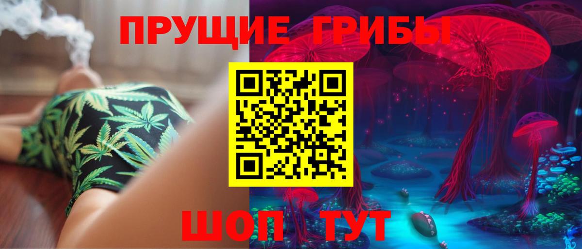 Галлюциногенные грибы Psilocybe Славгород